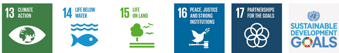 SDG Icon 3